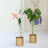 2 pcs 10 in tall Clear with Gold Spray Glass Bottles Vases