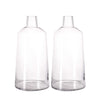 2 pcs Large 12 in tall Clear Glass Vases with Tapered Neck