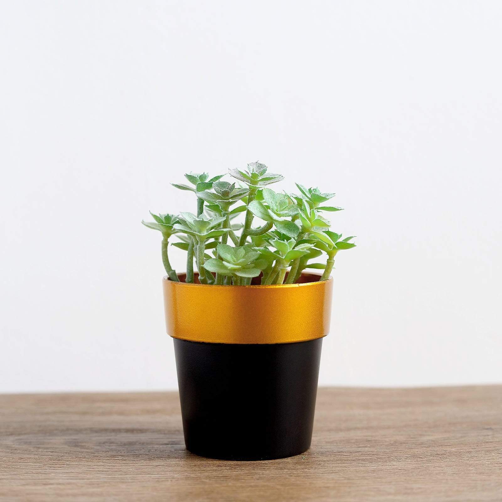 3 pcs 3 in tall Metallic Round Plastic Flower Plant Pots