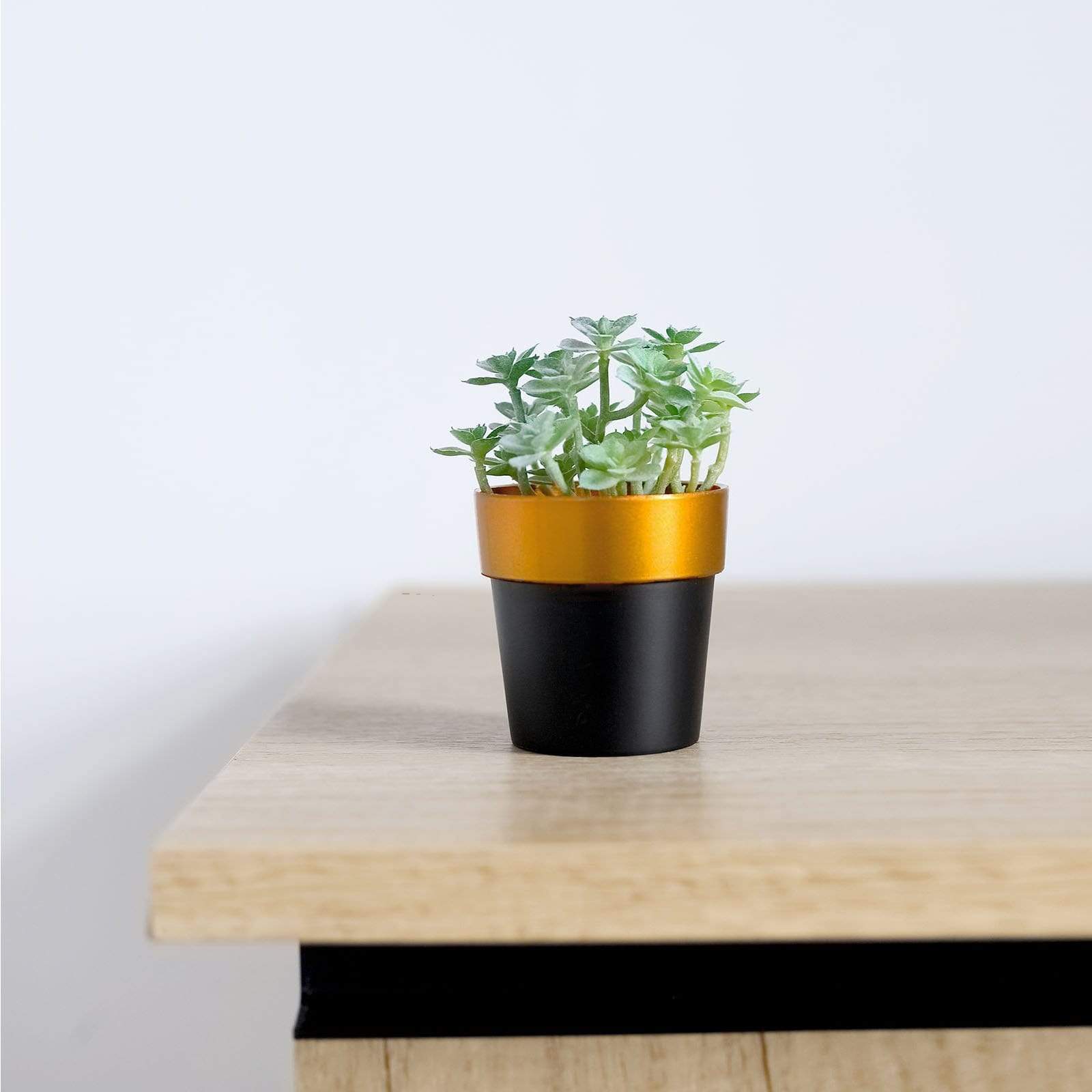 3 pcs 3 in tall Metallic Round Plastic Flower Plant Pots