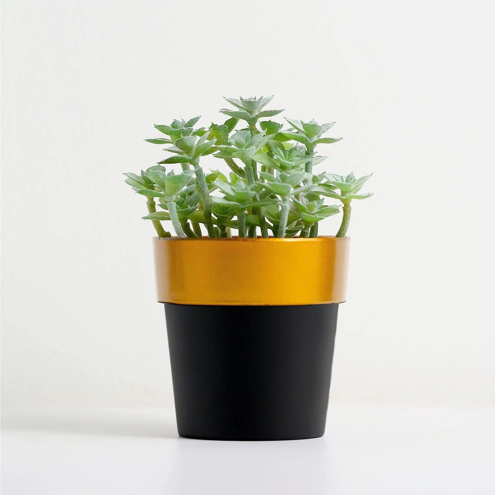 3 pcs 3 in tall Metallic Round Plastic Flower Plant Pots