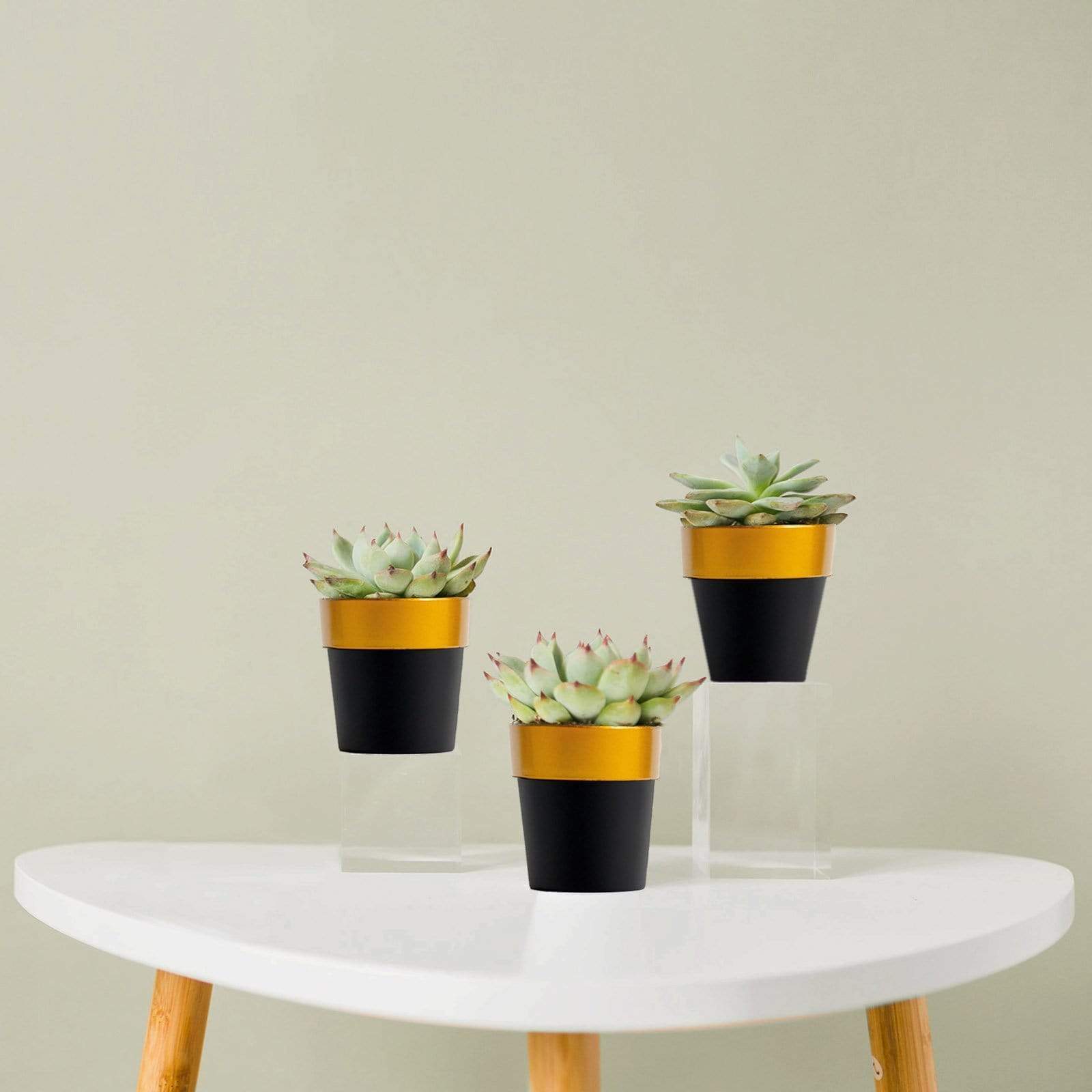 3 pcs 3 in tall Metallic Round Plastic Flower Plant Pots