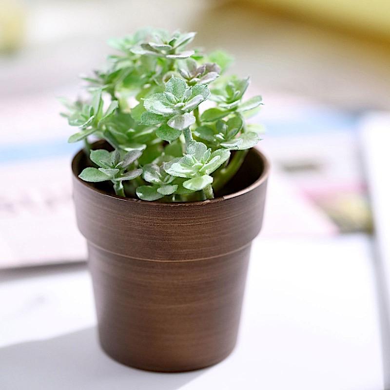 3 pcs 3 in tall Metallic Round Plastic Flower Plant Pots