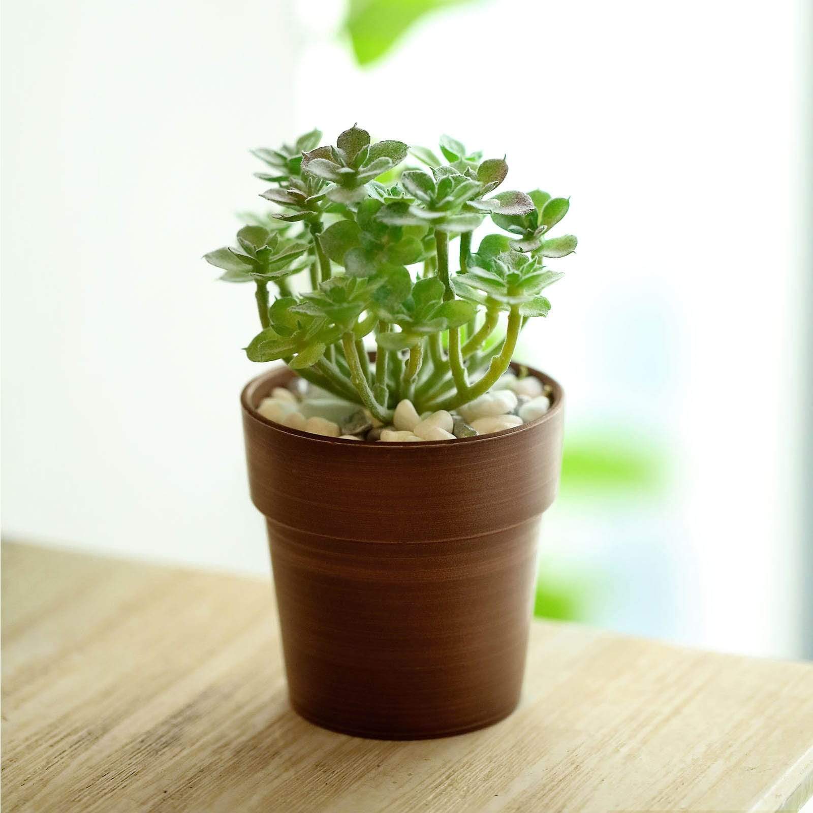 3 pcs 3 in tall Metallic Round Plastic Flower Plant Pots