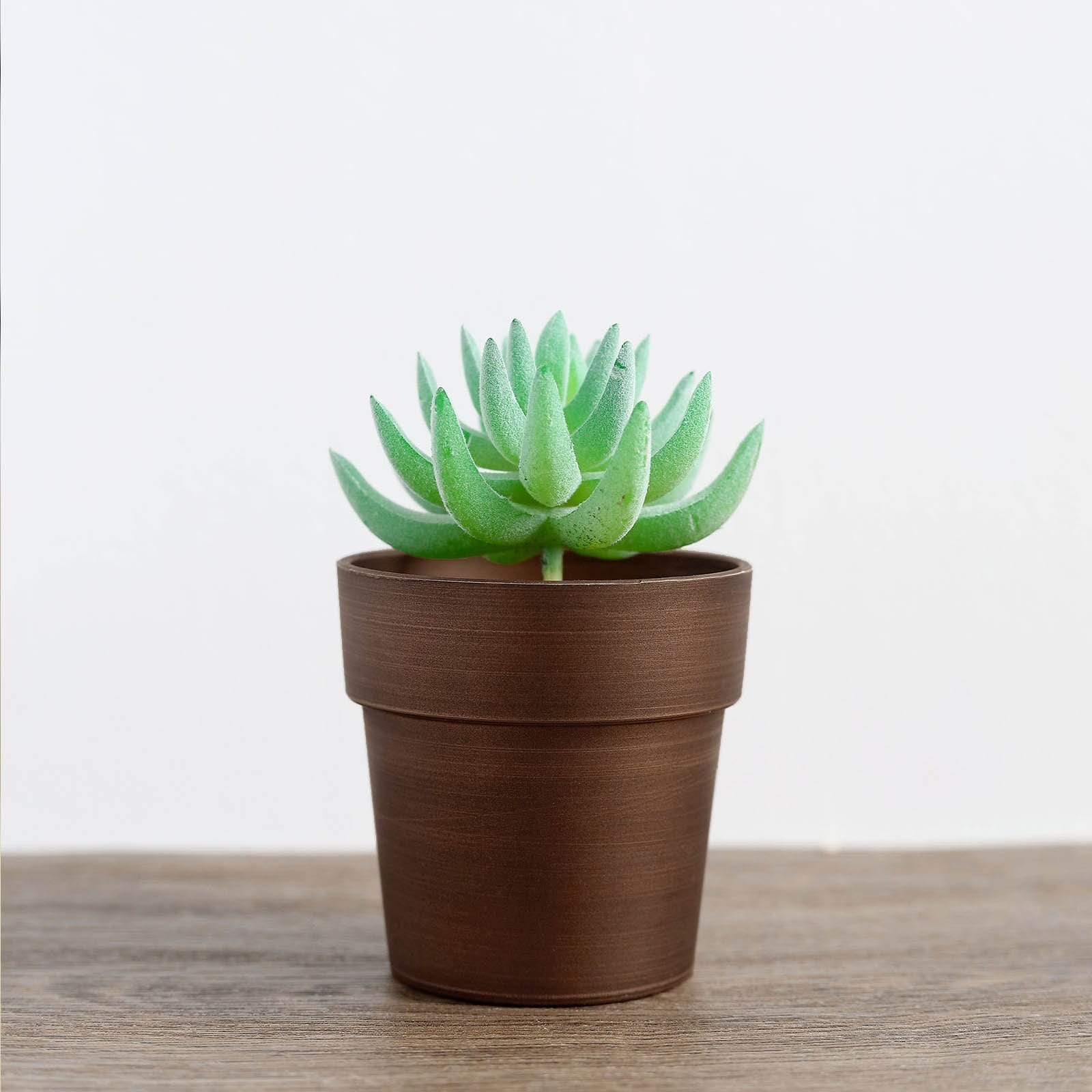 3 pcs 3 in tall Metallic Round Plastic Flower Plant Pots