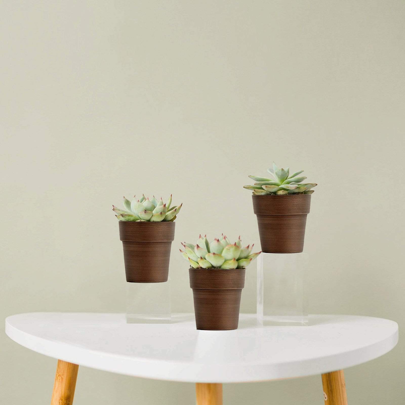 3 pcs 3 in tall Metallic Round Plastic Flower Plant Pots