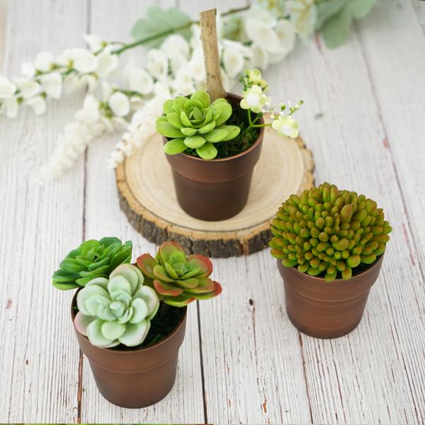 3 pcs 3 in tall Metallic Round Plastic Flower Plant Pots