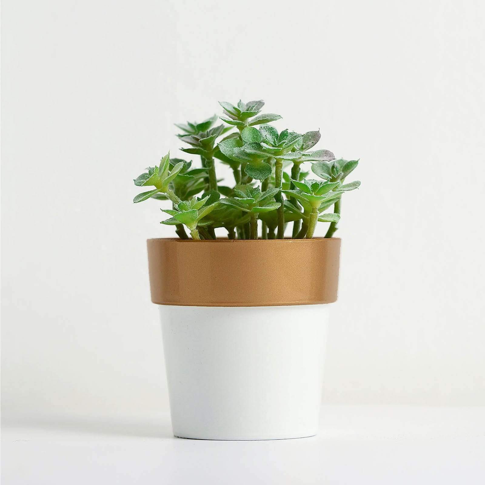 3 pcs 3 in tall Metallic Round Plastic Flower Plant Pots