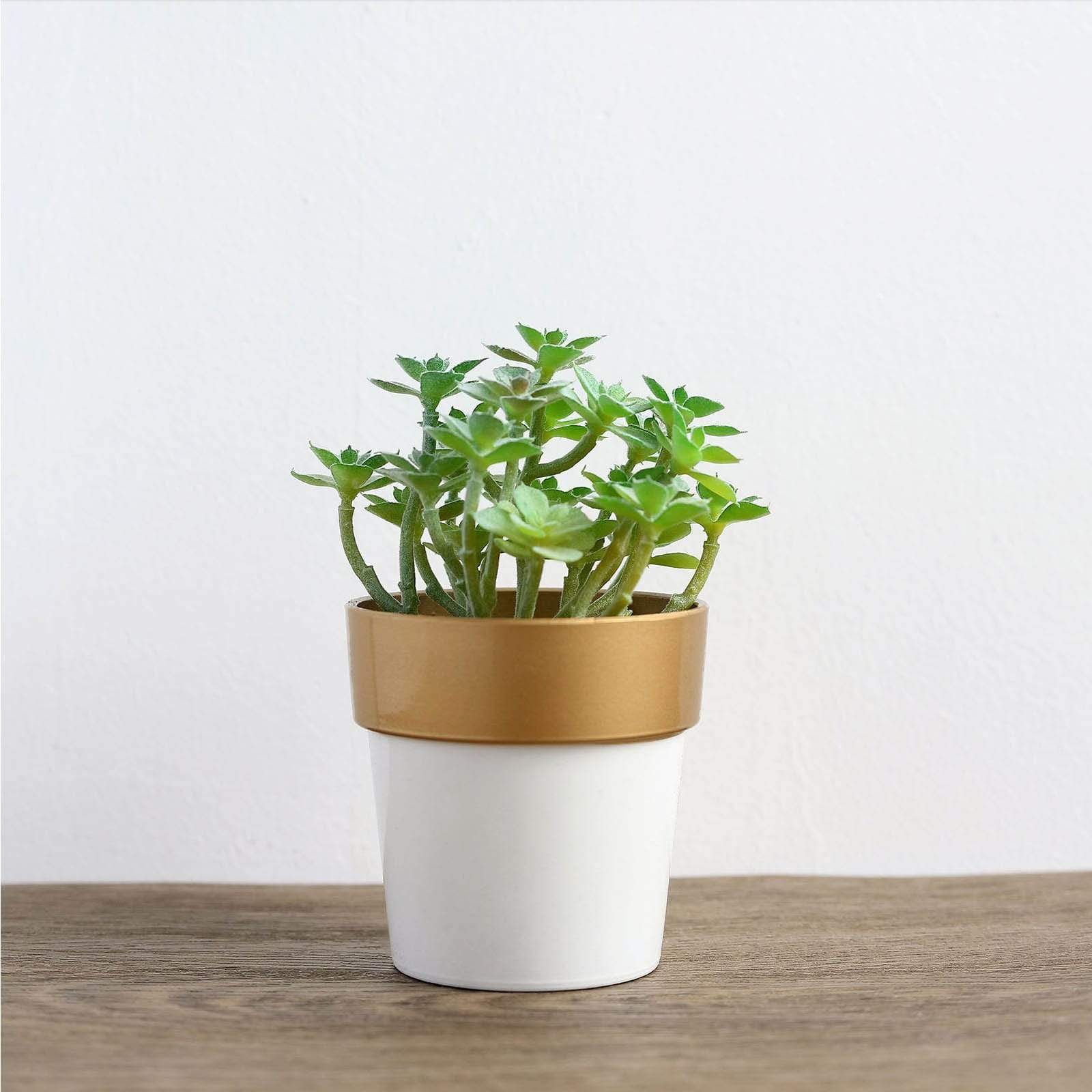 3 pcs 3 in tall Metallic Round Plastic Flower Plant Pots