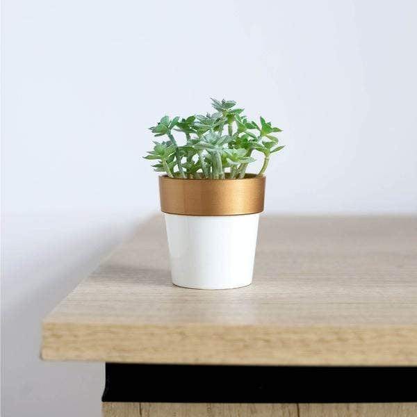 3 pcs 3 in tall Metallic Round Plastic Flower Plant Pots