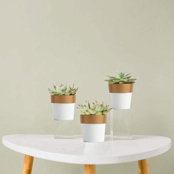 3 pcs 3 in tall Metallic Round Plastic Flower Plant Pots