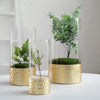 3 pcs Clear with Gold Honeycomb Trim Glass Cylinder Vases Set