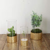 3 pcs Clear with Gold Honeycomb Trim Glass Cylinder Vases Set