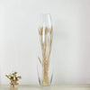 31 inch tall Cylindrical Clear Glass Vase