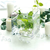 6 pcs 6 in tall Clear Glass Cube Vases Centerpieces
